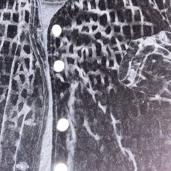 Velvet Coat - Picture 2 of 2